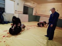 /album/fenykepgaleria/received-446067532599357-jpeg/