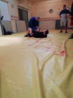 /album/fenykepgaleria/received-1187977568028318-jpeg/