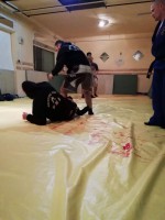 /album/fenykepgaleria/received-258517805052095-jpeg/