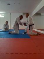 /album/fenykepgaleria/a20200627-115128-jpg/