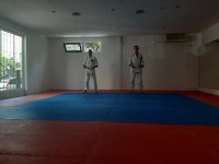 /album/fenykepgaleria/a20200627-093037-jpg/