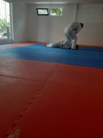 /album/fenykepgaleria/a20200627-092958-jpg/