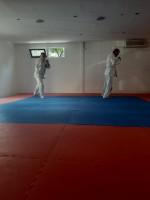 /album/fenykepgaleria/a20200627-092056-jpg/