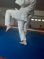 /album/fenykepgaleria/a20200627-091416-jpg/