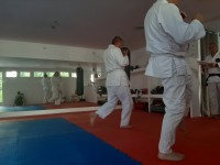 /album/fenykepgaleria/a20200627-091232-jpg/